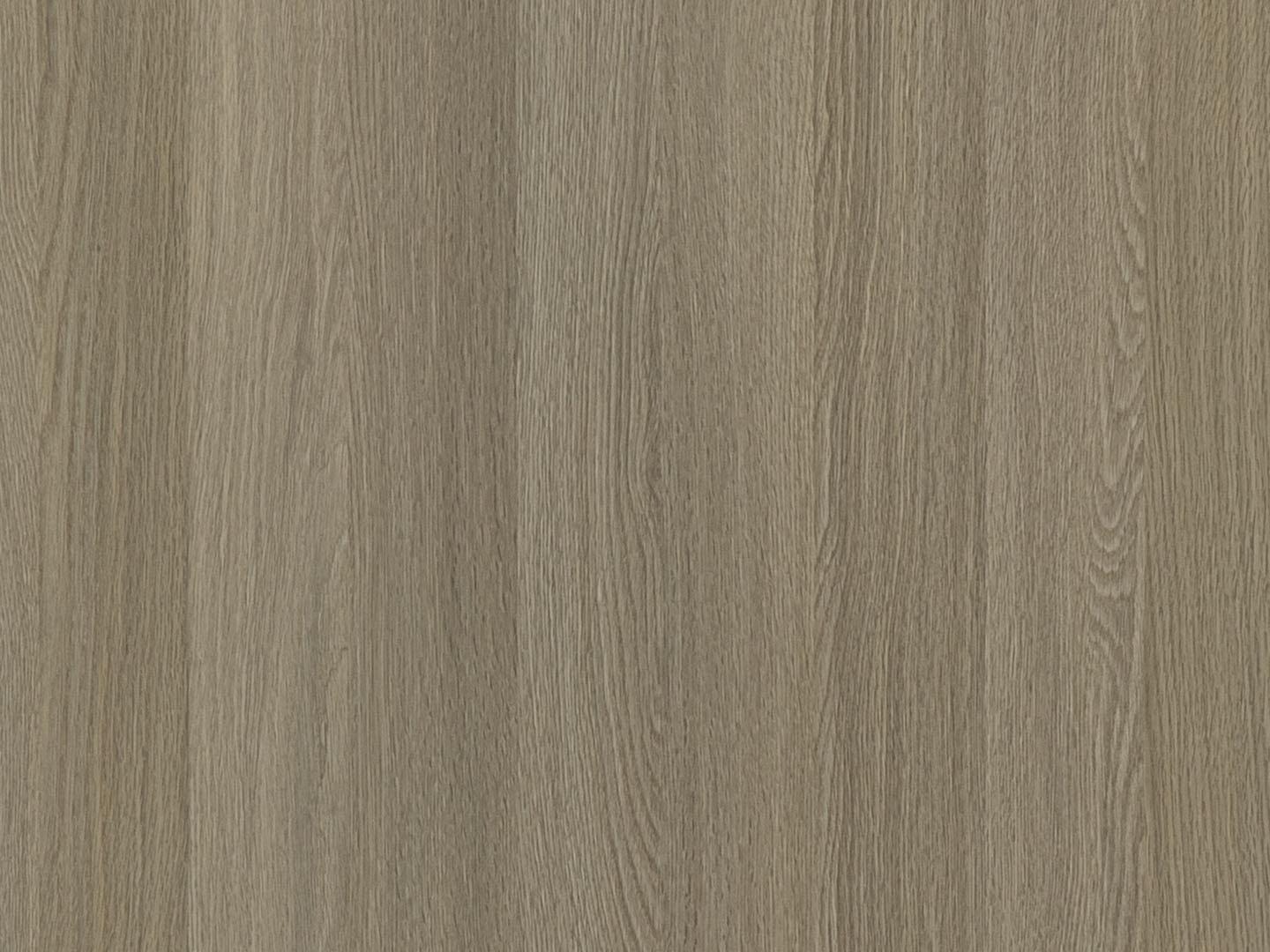 Дуб Честерфилд натур