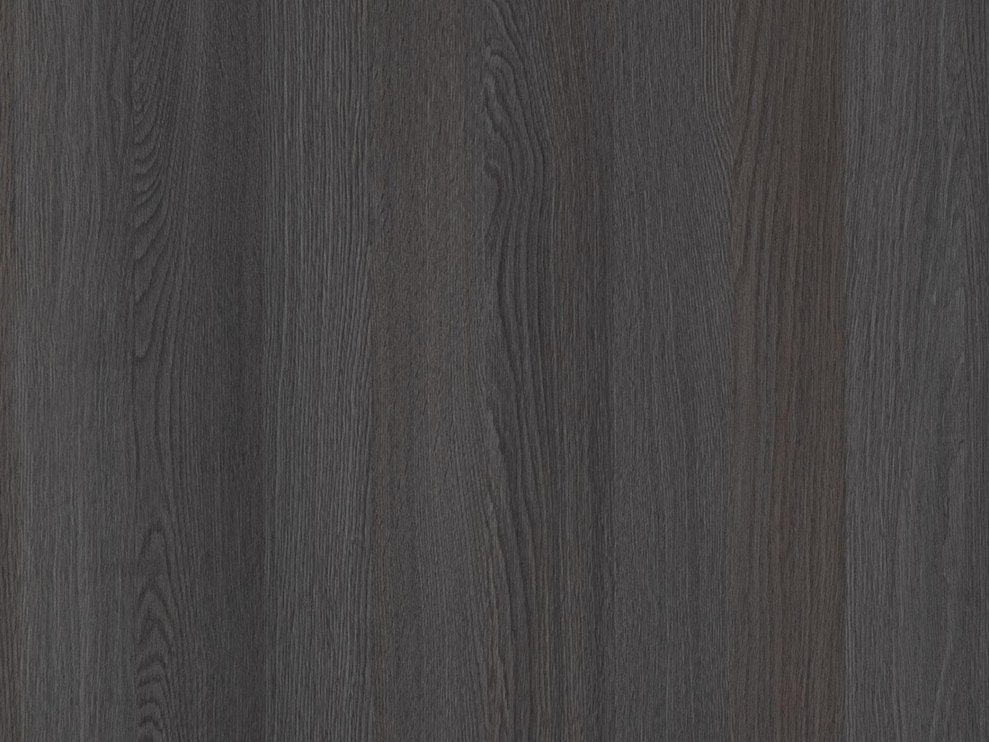 Дуб Честерфилд старый