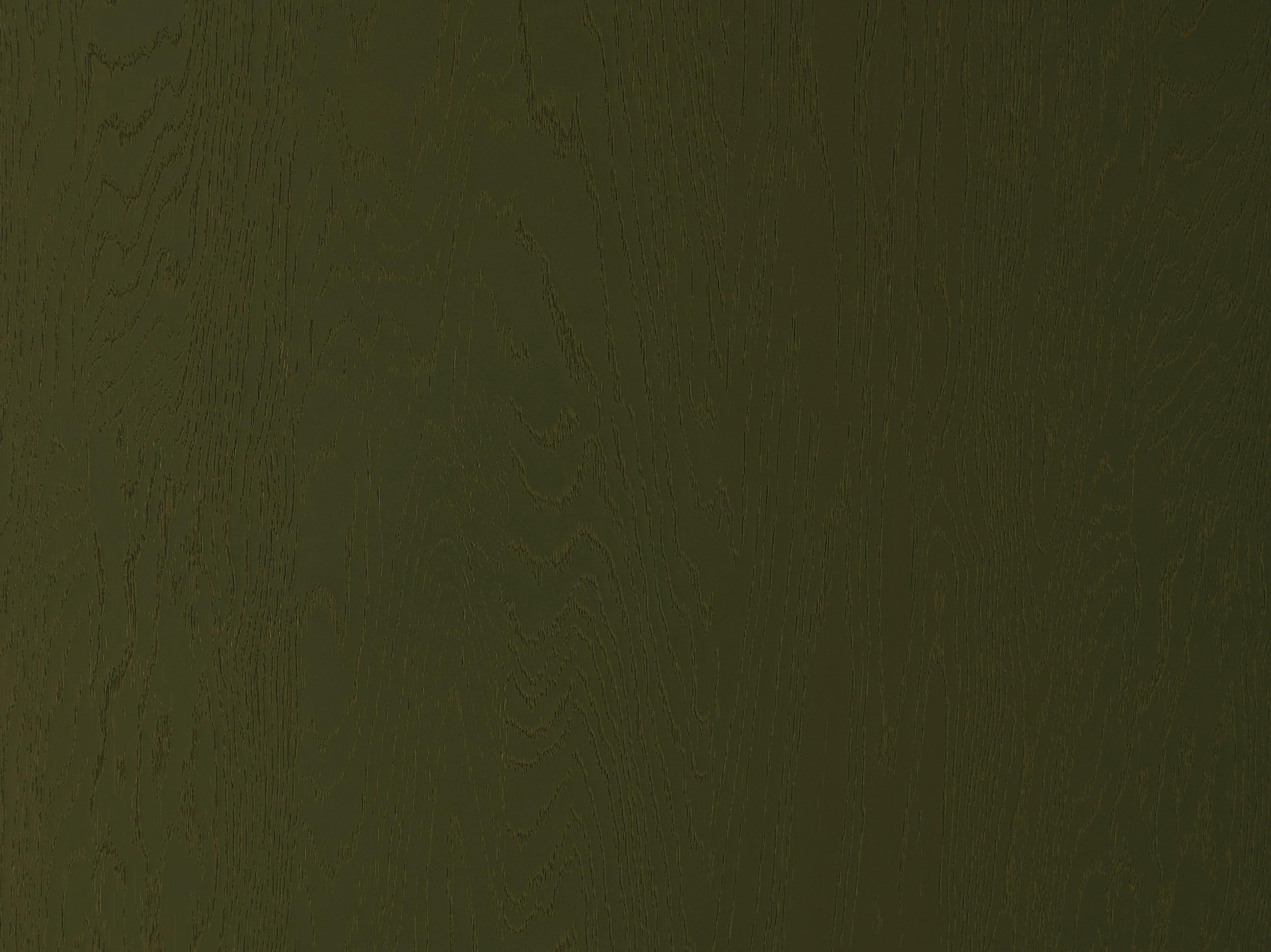 Дуб Болотный