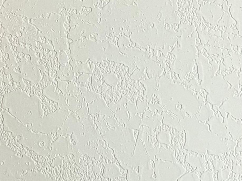 Версилк айс