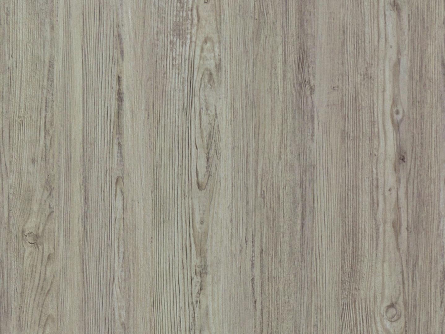 Сосна Скания светлая