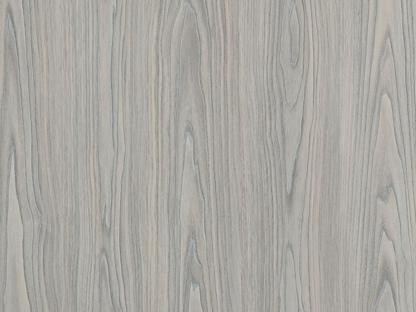 Швейцарский кедр седой *