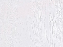 Дуб Арктика