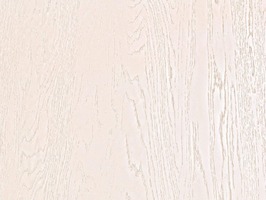 Дуб Кремовый