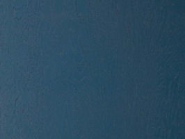 Дуб Адриатика