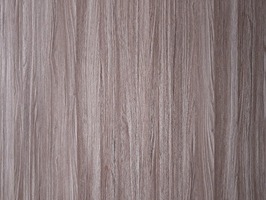 Дуб Сиена серый