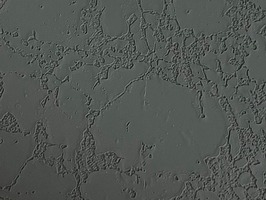 Версилк графит