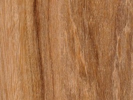 Дуб марон софт тач