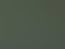 Руббер авокадо